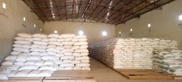 Tchad : des céréales subventionnées vendues à la population du Mayo Kebbi Ouest