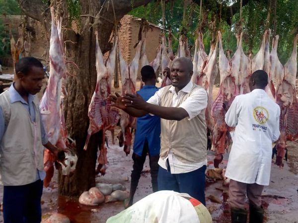 Tchad : les commerçants d'Ati s'approprient les bonnes pratiques d'hygiène alimentaire