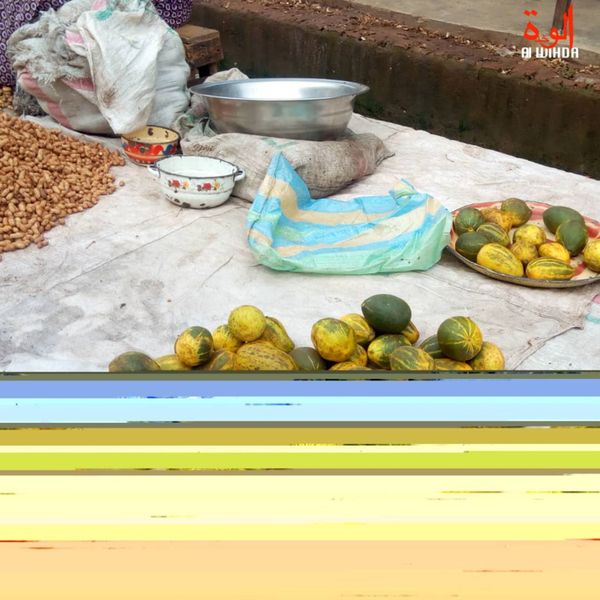 Tchad : "même le concombre est importé d’Ukraine"