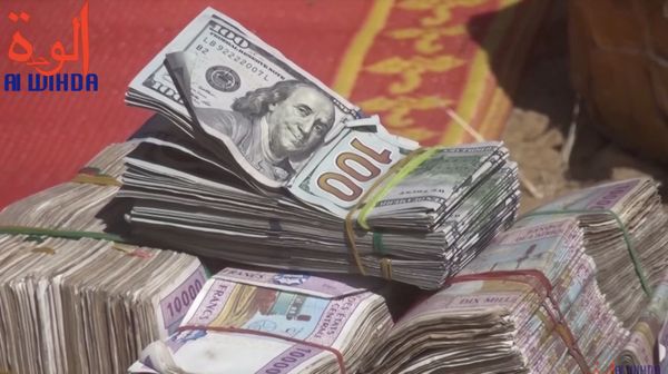 Tchad : Il faut voler, et vite ! Ce n’est qu’une transition