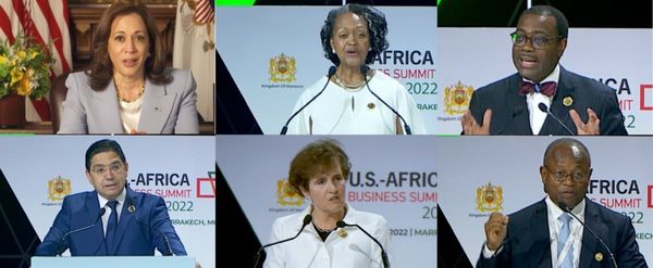 États-Unis/Afrique : le président de la BAD exhorte les investisseurs à investir en Afrique