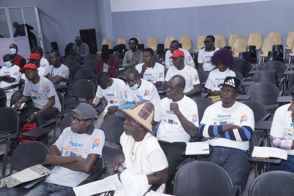 Tchad : vers un réseau national des industries culturelles et créatives