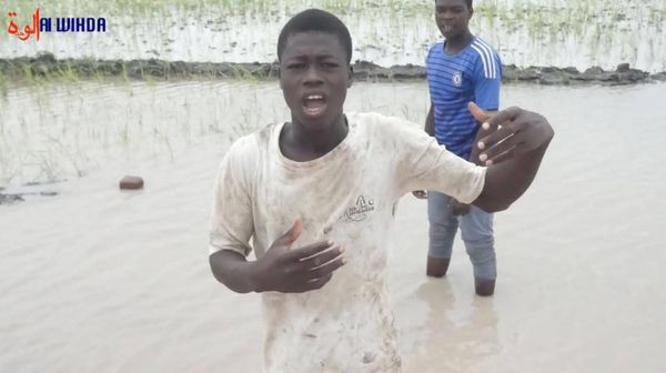 Tchad : des assoiffés du pouvoir se réunissent pour faire la paix, le peuple crie famine