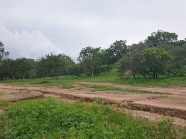 Le département de Tissi. Illustration © Alwihda Info