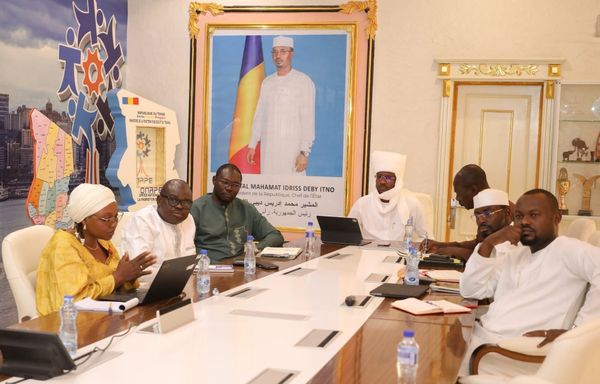 Partenariat stratégique entre l'ONAPE et la GIZ pour dynamiser l'emploi au Tchad