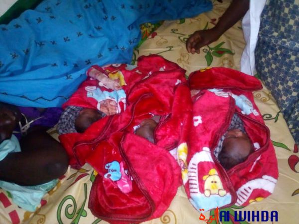 Tchad : une mère donne naissance à des triplés près de Goz-Beïda