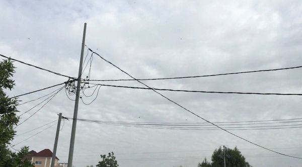 Tchad : SNE, un cancer qui ravage l’économie