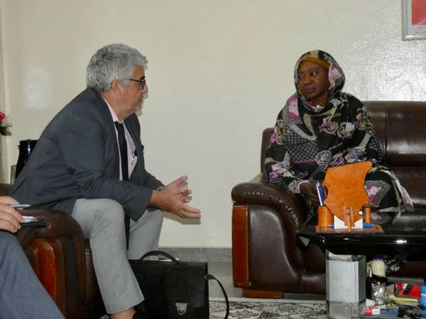 Tchad : l'emploi durable des jeunes au menu d'un échange