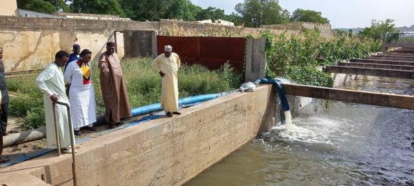 Tchad : les inondations à Walia et Digangali préoccupent la ministre des Affaires foncières