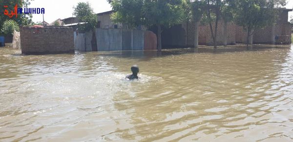 Un habitant nage face à la crue du fleuve, au quartier Djigangali à N'Djamena. © Malick Mahamat/Alwihda Info