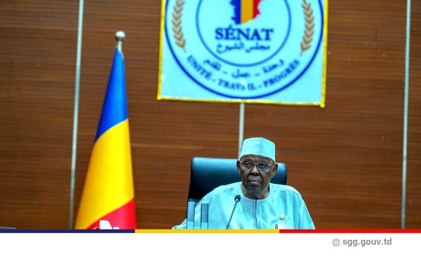 Tchad : Le Sénat approuve la création de l'Institut ÉDU-SAHEL
