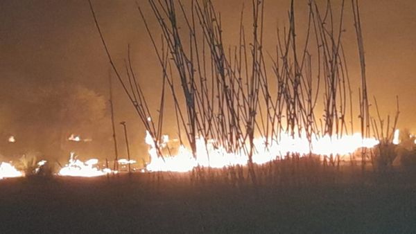 Tchad : un feu de brousse ravageur dans le département du Kanem Ouest