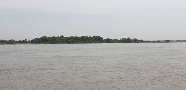 Tchad : drame à Farcha Milezi, un hippopotame a tué 5 personnes dont une femme enceinte. © Alwihda Info