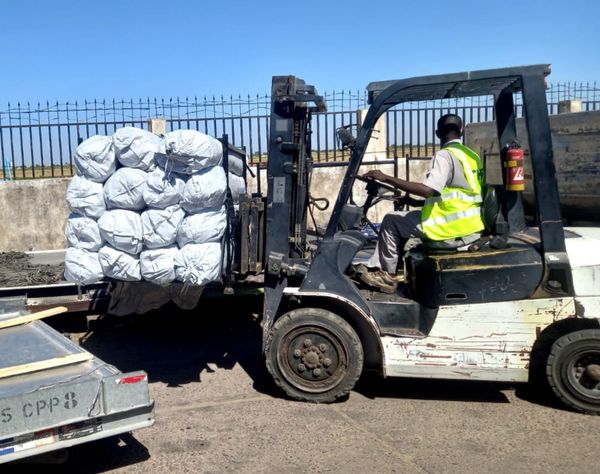 Tchad : le HCR et la coopération suisse acheminent 300 tentes pour les sinistrés d'inondations