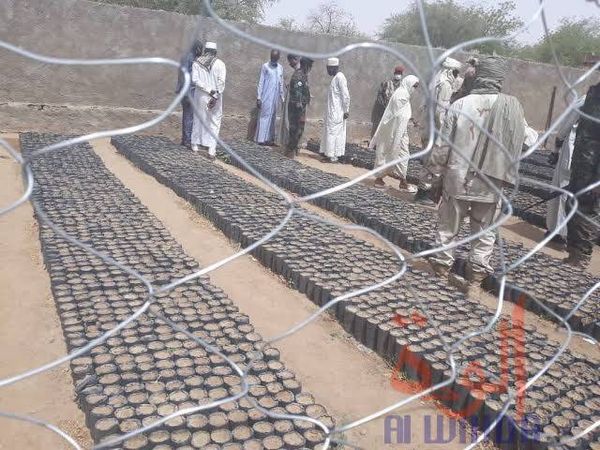 Tchad : la taxe annuelle environnementale « Sanawia » n’existe pas (gouverneur du Ouaddaï)