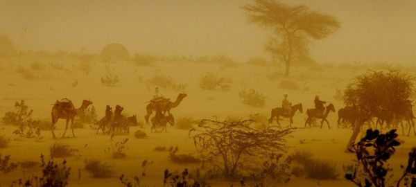 Des hommes traversent une tempête de sable à dos de chameaux et d'ânes près de la ville de Mao, dans la région de Kanem au Tc