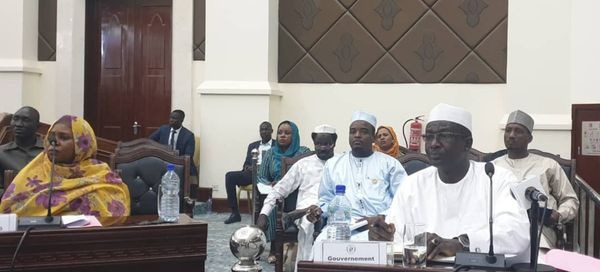 Tchad : le CNT approuve la réforme de la Société nationale des mines et de la géologie
