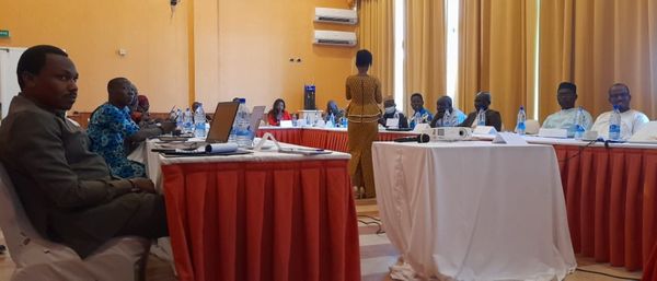 Tchad : des journalistes s’engagent aux côtés de l’UNFPA pour des actions humanitaires