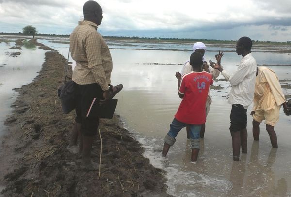 Les déguerpis de Ngueli ou les omis de la capitale ? Djimet Wiche/Alwihda Info