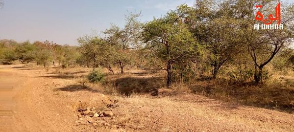 Tchad : deux personnes enlevées à Lamé, la rançon fixée à 20 millions Fcfa