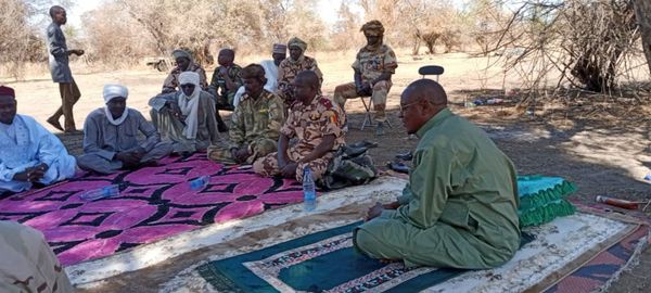 Tchad : des individus traqués et retrouvés après le vol de 114 bœufs à Mangalmé