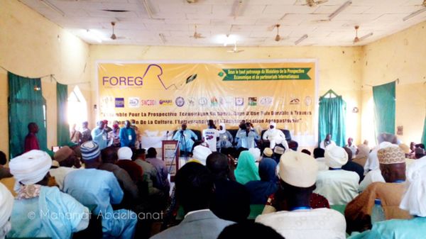 Tchad : la 1ère édition du Forum économique du Guéra lancée à Mongo