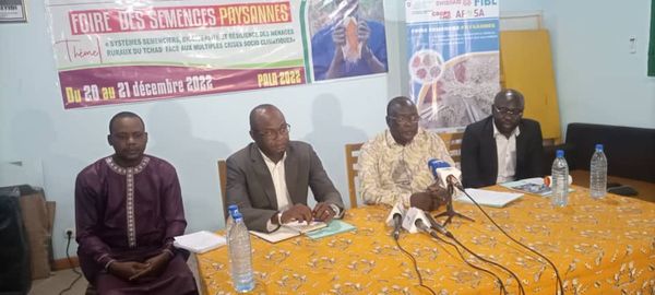 Tchad : une première foire des semences paysannes se tiendra à Pala