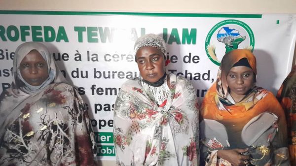 Afrique : L'ONG TEWTAL-JAM établit son bureau au Tchad