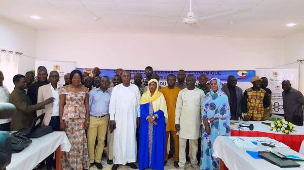 Tchad : l'ONDD organise un atelier de validation de la 2ème série de rapports dimensionnels