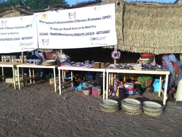 Tchad : des femmes éleveurs participent à la SENAFET/JIF à Sarh, avec l'appui du PREPAS