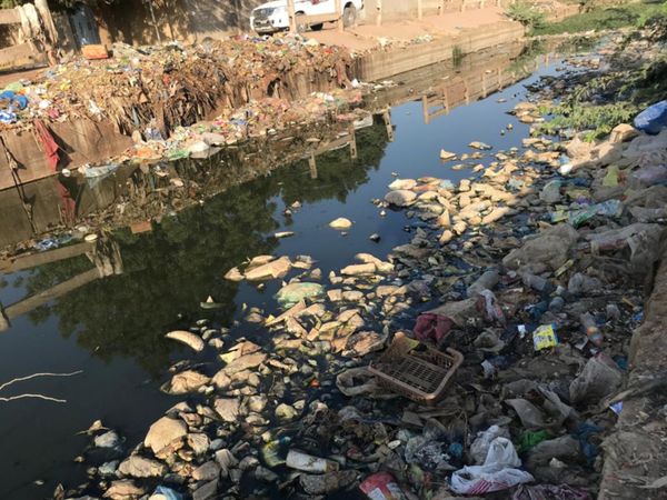 Tchad : les aliments à proximité des ordures, un problème de santé et d'hygiène alimentaire