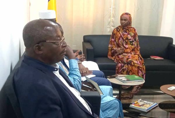 Tchad : les autorités se concertent avec les assureurs pour renforcer la sécurité routière