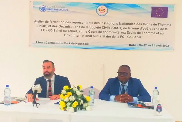 Tchad : atelier de formation sur les droits de l'homme et le droit international humanitaire pour la FC-G5 Sahel