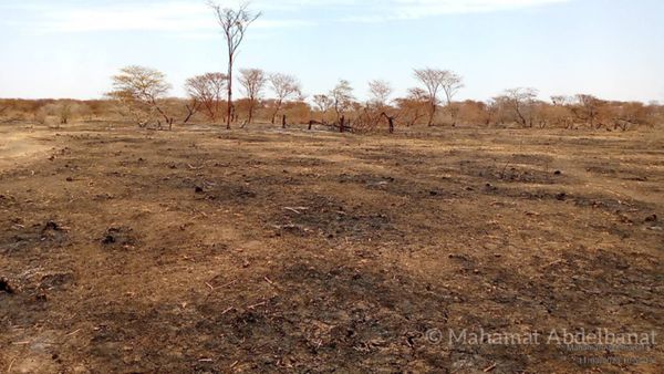 Tchad : des hommes armés tirent sur un véhicule de transport près d'Am-Timan, deux blessés. © Mahamat Abdelbanat Kourma/Alwih
