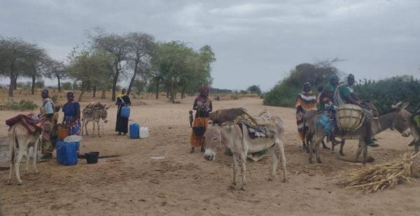 Afflux de réfugiés soudanais au Tchad. © Djibrine Haïdar/Alwihda Info