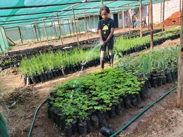 Afrique : « le rôle des jeunes dans l'atténuation des changements climatiques est important » (Karen)