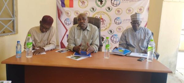 Le Tchad veut davantage protéger le bétail contre les maladies bovines et des petits ruminants