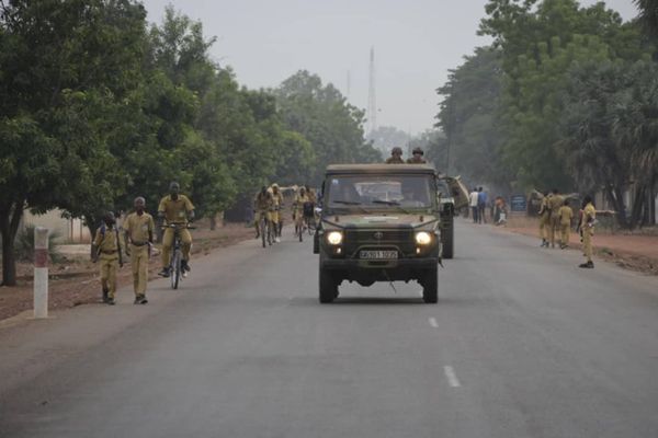 Tchad : aucun soldat français n'est décédé suite à une piqûre d'abeille dans le sud