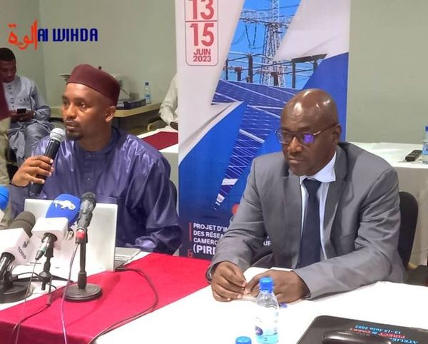 Tchad : le PIRECT et le PASET sollicitent l'Etat et les partenaires techniques