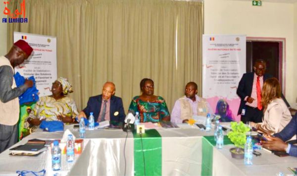 Bassin du Lac Tchad : Le PNUD met l'accent sur la justice transitionnelle et les solutions durables