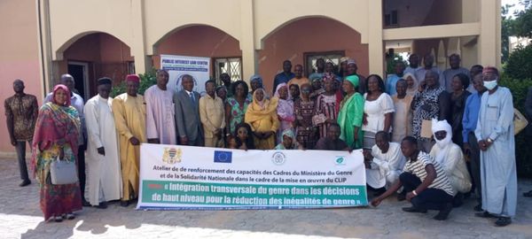 Tchad : des cadres ministériels formés sur l'intégration transversale du genre