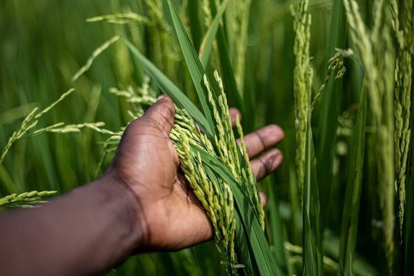 Illustration © Pixabay