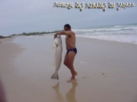 Le Forum Crans-Montana : Dakhla, Perle des vents, à l'honneur