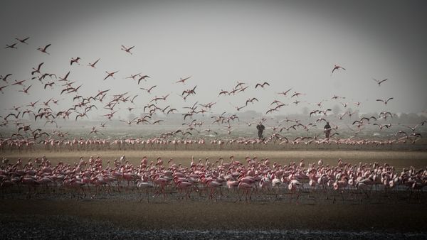 Namibie. Illustration © Pixabay