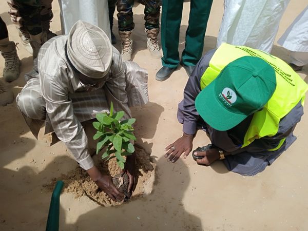 Tchad : 3000 pépinières offertes aux associations pour la lutte contre le désert à Mao
