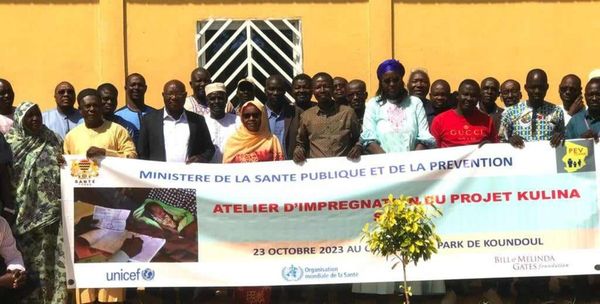 Tchad : le ministère de la Santé organise un atelier sur l’enregistrement des naissances et la vaccination