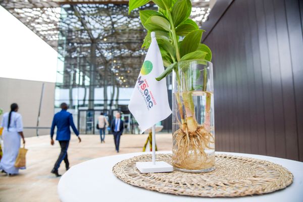 Afrique : Le panel sur les finances et le gouvernement révélera des informations clés lors du MSGBC Oil, Gas &amp; Power 2023