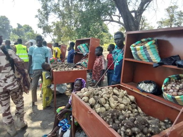Tchad : l’ONG Direct Aid et l’Agence Kwotien favorisent le développement local à Korowolo