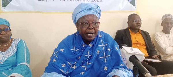 Tchad : la Tandjilé vise l'innovation agro-pastorale pour dynamiser son économie locale