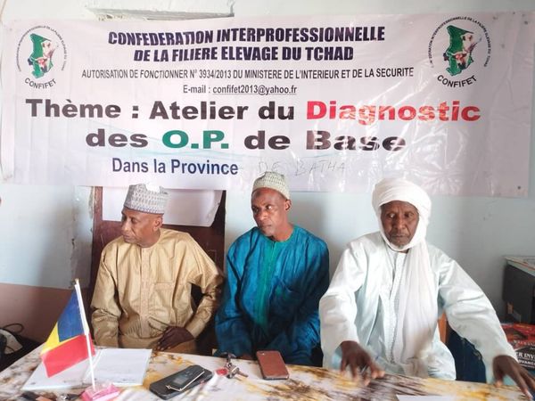 Tchad : mobilisation pour l'autonomie des organisations paysannes au Batha